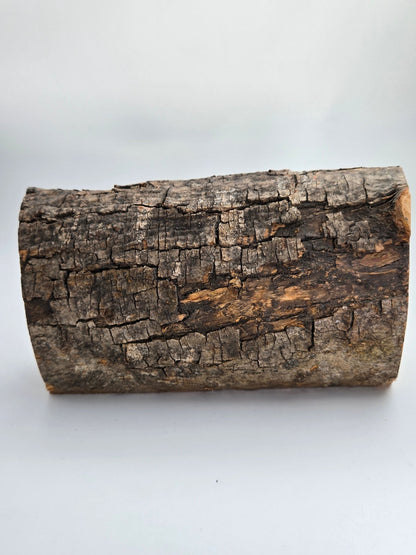 Olive Wood Holy Family Nativity Log — Bethlehem Bark Crèche Sculpture - Christian Crafts